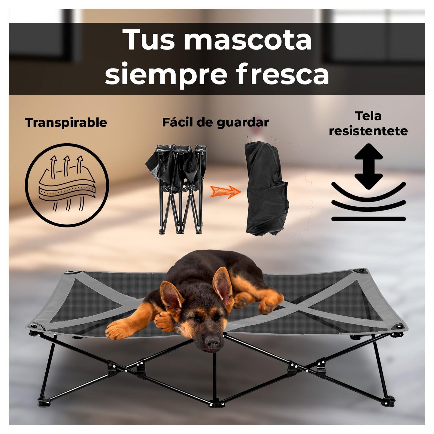 Cama Trampolín Elevada para tu Perro con Malla Transpirable