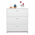 Mueble Zapatero Organizador Estante para Zapatos VTRIN