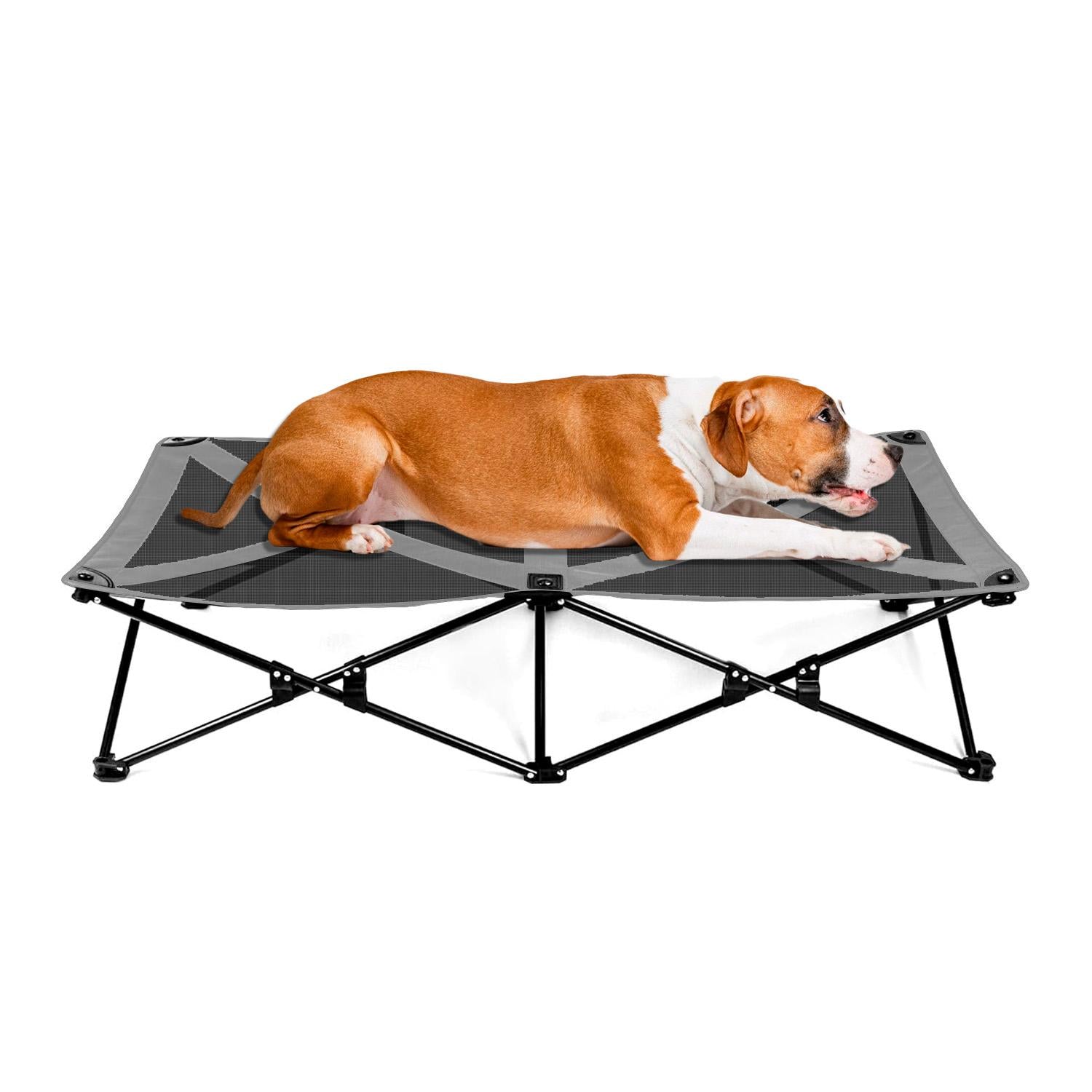 Cama Trampolín Elevada para tu Perro con Malla Transpirable
